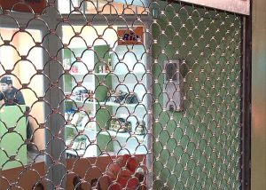 Cierre enrollable de conchas